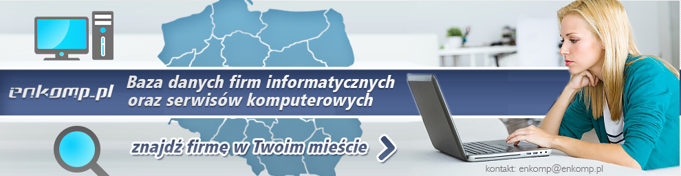 baza danych seriwsów komputerowych i firm informatycznych